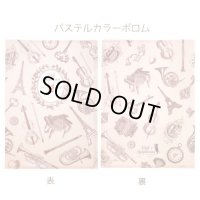 キャットシンフォニカ　A4クリアファイル　パステルカラーポロム　※在庫限り　※ご購入1個につき25ポイント付与(会員登録要)　◇ゆうパケット発送可