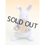 ドリーズラビット　ホルン