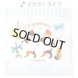 キャットシンフォニカ　タオル　ミケストライプ　※在庫限り　◇ゆうパケット発送可