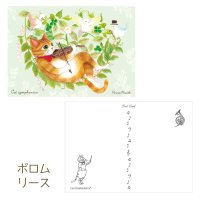 キャットシンフォニカ　ポストカード　ポロムリース　※在庫限り　※ご購入1個につき25ポイント付与(会員登録要)　◇ゆうパケット発送可