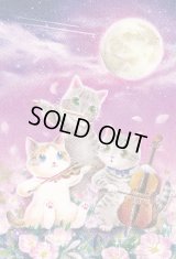 ポストカード　Strings Cat「ルナ、ソル、アース」　◇ゆうパケット発送可