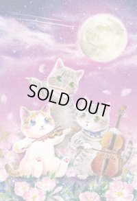 ポストカード　Strings Cat「ルナ、ソル、アース」　◇ゆうパケット発送可