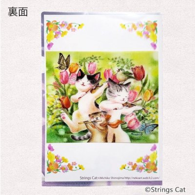 画像3: A5クリアファイル　Strings Cat「アリア」　◇ゆうパケット発送可