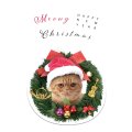 クリスマスカード　リースに猫　◇ゆうパケット発送可