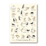 SomeMusicDesign　クリアファイル　柴犬とハスキーの音楽用語　◇ゆうパケット発送可