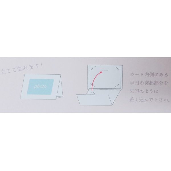 画像5: たけいみき　フォトフレームカード　クラシック　◇ゆうパケット発送可 (5)