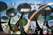 画像1: ジグソーパズル　森のサーカス　藤城清治　1000ピース (1)